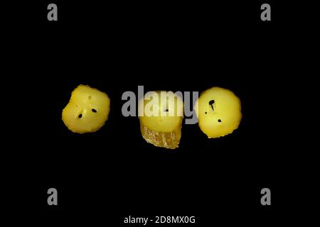 Canned cucumber slices ​​slice isolated on black background, ingredient. Stock Photo