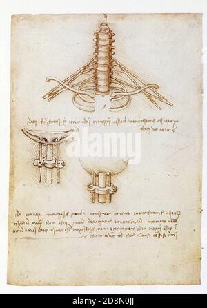 Leonardo da Vinci. Schematic drawings of the brachial plexus, and the junction of the skull and spinal column. 1506-1507. Pen and ink Stock Photo