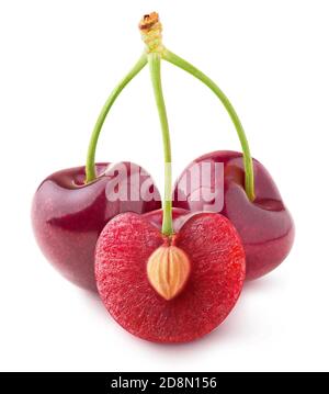 Isolated cherries. Three cherries on a stem, one cut in half with kernel isolated on white background Stock Photo