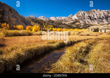 Fall colors along a stream in the Sierra Nevada mountain range in California. Stock Photo