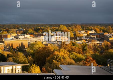 An aerial view on Basingstoke town centre with dramatic orange, red and brown autumn trees caught in the late afternoon setting sun, Hampshire, UK Stock Photo