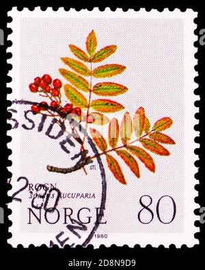 MOSCOW, RUSSIA - OCTOBER 8, 2020: Postage stamp printed in Norway shows Rowan (Sorbus aucuparia), Christmas serie, circa 1980 Stock Photo