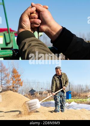 Harbin. 30th Oct, 2020. Combo photo taken on Oct. 30, 2020 shows Gu Changshan overhauls a harvester (top); and dries grains in Donggang Village of Fuyuan, northeast China's Heilongjiang Province. His income is expected to see an increase of over 30,000 yuan (about 4,482 U.S. dollars) this year. A total of 636 people from 358 registered impoverished households in 29 villages in Fuyuan have shaken off poverty. Credit: Xie Jianfei/Xinhua/Alamy Live News Stock Photo