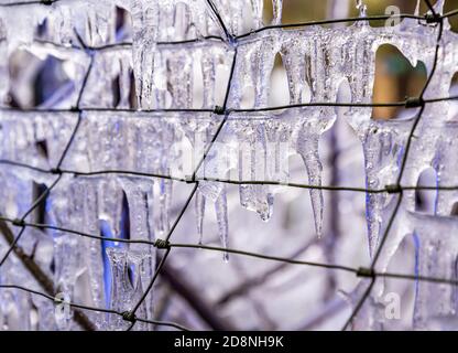 Frozen Barbed Wire. Close up of a ice covered fence in winter. Stock Photo
