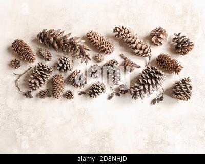Collection of various conifers cones. Christmas set various cones of sequoia, pine, spruce, fir on brown background. Botanical evergreen flat lay. Stock Photo