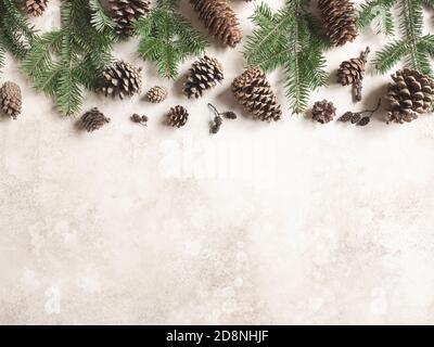 Collection of various conifers cones and branches on brown background. Christmas set various cones of sequoia, pine, spruce, fir. Botanical evergreen Stock Photo