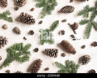 Collection of various conifers cones and branches on brown background. Christmas set various cones of sequoia, pine, spruce, fir. Botanical evergreen Stock Photo