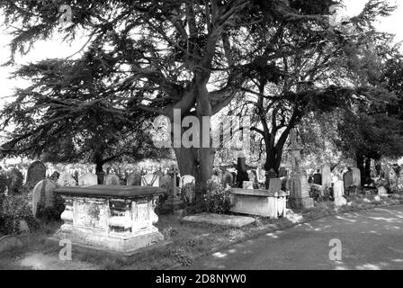 Old Brompton Cemetery Stock Photo