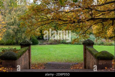 a set of stone steps in a park in royal leamington spa in the autumn season with colourful leaves on branches over hanging a wall. Stock Photo