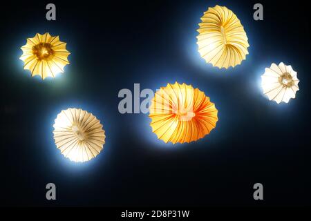 neon lights sea shells on a black background Stock Photo