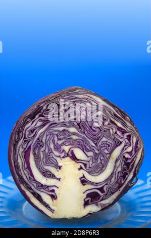 A purple cabbage (Brassica oleracea) cut in half on a glass plate with blue background with copy space Stock Photo