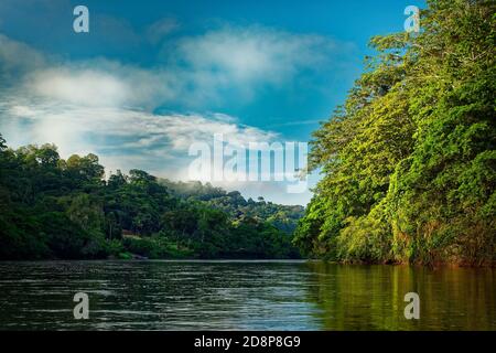 Costa Rica landscape from Boca Tapada, Rio San Carlos. Riverside with meadows and cows, tropical cloudy forest in the background. View from the boat. Stock Photo