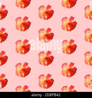 Seamless pattern with roses on a pink background in hard light from behind from above. Pop art creative design for textile, fashion, fabric, wrapping paper. Stock Photo