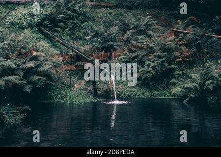 View of a bamboo tube with flowing water down the river in the Thuringian forest Stock Photo