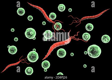 Virus illustration Stock Photo