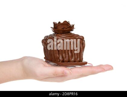 Hand holding one chocolate cake cupcakes on a chocolate candy bar frosted with choc frosting, handmade chocolate  rose on top, sitting on square clear Stock Photo