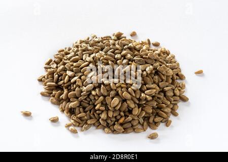 Pile of sunflower seeds isolated on a white background.. Stock Photo