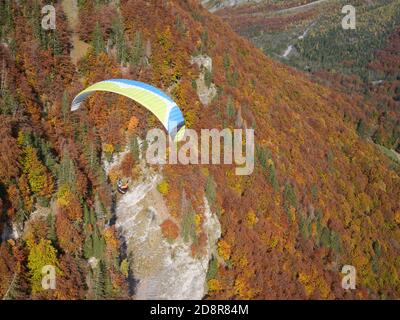 AIR-TO-AIR VIEW. Paraglider soaring above a forest with resplendent fall colors. Sixt-Fer-à-Cheval, the Giffre Valley, Haute-Savoie, France. Stock Photo