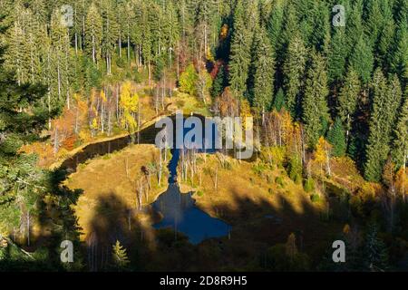 Ellbachsee, a tarn in the northern Black Forest, Germany, as seen from above Stock Photo