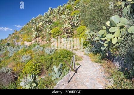 Taormina - The path among the spring mediterranean flowers. Stock Photo