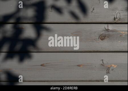 grey blue wooden fence with leaf shadow, space for writing Stock Photo