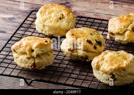 A batched of freshly  baked, home made, fruit scones cooling on a wire cooling rack on a wooden kitchen worktop Stock Photo