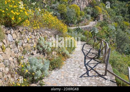 Taormina - The path among the spring mediterranean flowers. Stock Photo