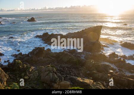 Sunset and seals sleeping and resting at Tauranga Bay seal colony in Westport located in Westcoast of New Zealand South island Stock Photo