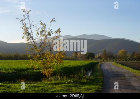 splendid landscape of the val tiberina in autumn colors near Anghiari at sunset Stock Photo