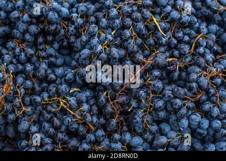 Close up of blueberries at a market Stock Photo