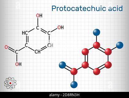 Protocatechuic acid, PCA molecule. It is 3,4-dihydroxybenzoic, phenolic acid, metabolite of antioxidant polyphenols, catechol, is found in green tea Stock Vector