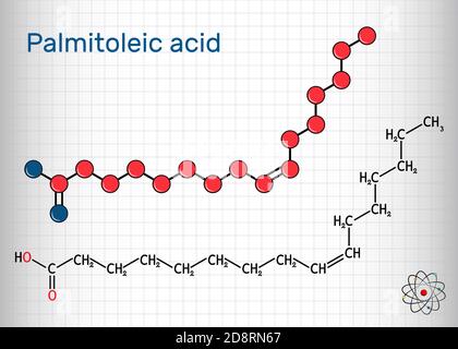 Palmitoleic acid, palmitoleate molecule. It is an omega-7 monounsaturated fatty acid. Structural chemical formula and molecule model. Sheet of paper i Stock Vector