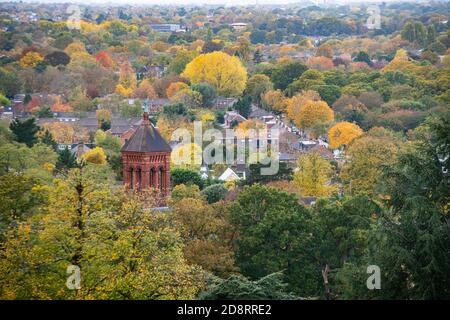 An autumnal view over South West London from Richmond Park Stock Photo