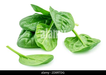 Heap of baby spinach leaves isolated on white background. Fresh green spinach. Stock Photo