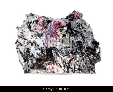 macro photography of sample of natural mineral from geological collection - unpolished red Garnet crystals in Biotite rock isolated on white backgroun Stock Photo