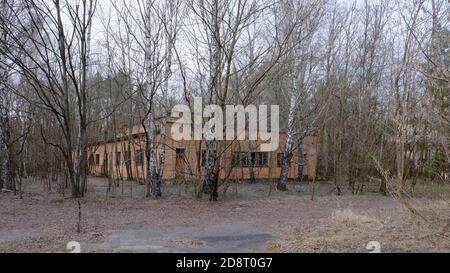 Abandoned brick buildings among trees in the Chernobyl radiation contamination zone. Stock Photo