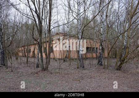 Abandoned brick buildings among trees in the Chernobyl radiation contamination zone. Stock Photo