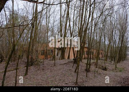 Abandoned brick buildings among trees in the Chernobyl radiation contamination zone. Stock Photo