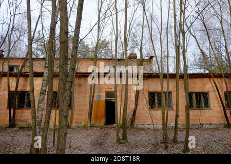 Abandoned brick buildings among trees in the Chernobyl radiation contamination zone. Stock Photo