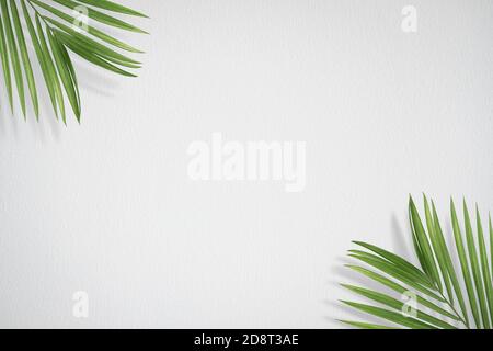 Creative layout made of tropical leaves on white background. Minimal summer exotic concept with copy space. Stock Photo
