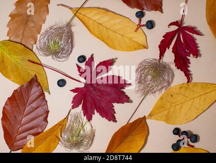 Autumn composition with dry leaves on beige background. Flat lay, top view. Autumn, fall concept. Stock Photo