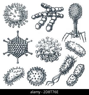 Viruses and bacterium set isolated on white background. Hand drawn vector sketch illustration. Hepatitis, rotavirus, coronavirus, Koch bacillus, HIV a Stock Vector