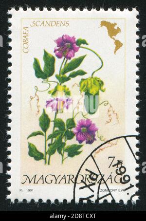 HUNGARY - CIRCA 1991: stamp printed by Hungary, shows flower, circa 1991 Stock Photo