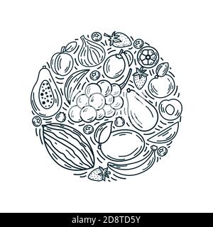 Vector fruits in round composition. Bright illustration of healthy fresh food. Isolated design elements in outline style. Ideal for poster, banner. Stock Vector