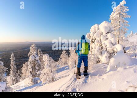 Hiker on snowshoes amongst frozen trees near Pyha in Lapland, Finland Stock Photo