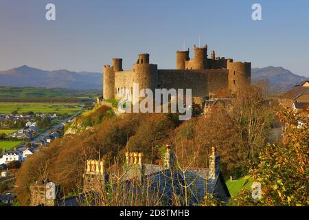 Harlech Castle in late evening sunlight and blue sky with mountains in the distance, Snowdonia, North Wales, UK. Stock Photo