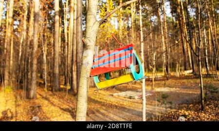 Colored hand-made house bird feeder hanging on a tree in the autumn forest. Caring for and feeding birds, animals Stock Photo