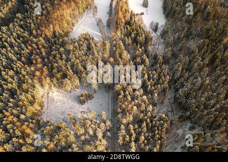 Top view on the empty road in the forest in snow in winter at sunlight.  Stock Photo