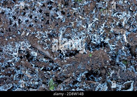 Dirt covered with white ice crystals at sunlight in garden Stock Photo