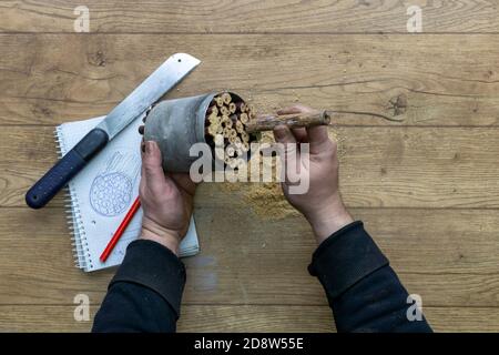 Do it yourself. Making wooden insect house Stock Photo